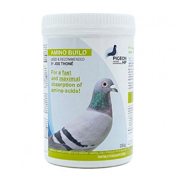 Amino Build Essential Amino Acid Concentrate 250g for Racing & Breeding Pigeons, with Vitamin B for Muscle Development, Recovery, Stamina and Peak Performance