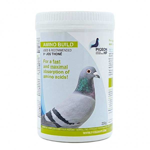 Amino Build Essential Amino Acid Concentrate 250g for Racing & Breeding Pigeons, with Vitamin B for Muscle Development, Recovery, Stamina and Peak Performance Amino Build Essential Amino Acid Concentrate 250g for Racing & Breeding Pigeons, with Vitamin B for Muscle Development, Recovery, Stamina and Peak Performance