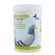 Amino Build Essential Amino Acid Concentrate 250g for Racing & Breeding Pigeons, with Vitamin B for Muscle Development, Recovery, Stamina and Peak Performance Amino Build Essential Amino Acid Concentrate 250g for Racing & Breeding Pigeons, with Vitamin B for Muscle Development, Recovery, Stamina and Peak Performance