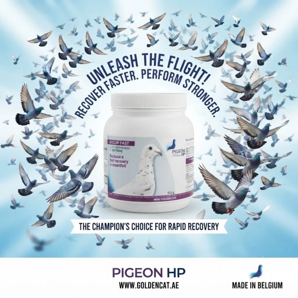 Pigeon HP RECUP FAST Recovery Supplement for Racing Pigeons 500g | Energy & Muscle Support Formula After Race and Training | Complementary Feed Made in Belgium