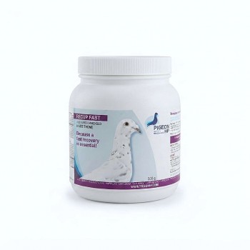 Pigeon HP RECUP FAST Recovery Supplement for Racing Pigeons 500g | Energy & Muscle Support Formula After Race and Training | Complementary Feed Made in Belgium