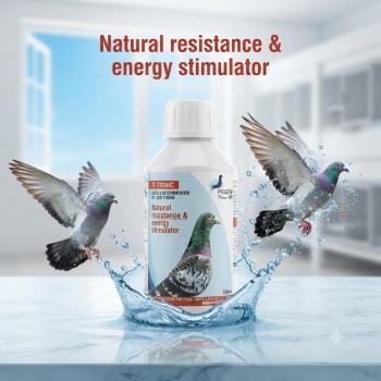 T-TONIC Natural Energy & Resistance Booster for Racing Pigeons 250ml | Metabolism Support Supplement for Racing, Breeding & Moulting Birds