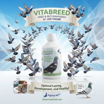 Pigeon HP Vitabreed 500ml Breeding Supplement for Pigeons with Vitamins A D3 and Choline Supports Fertility Egg Laying Hatching Young Bird Growth Feather Development and Vitality