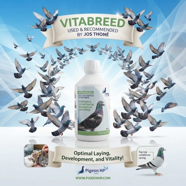Pigeon HP Vitabreed 500ml Breeding Supplement for Pigeons with Vitamins A D3 and Choline Supports Fertility Egg Laying Hatching Young Bird Growth Feather Development and Vitality
