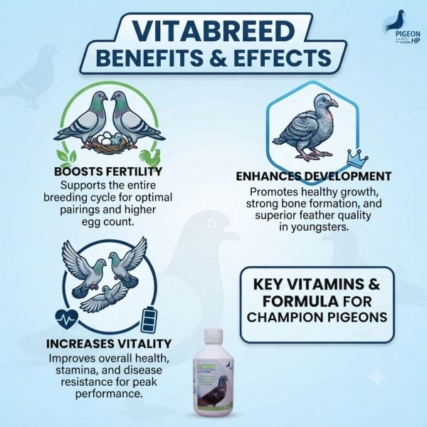 Pigeon HP Vitabreed 500ml Breeding Supplement for Pigeons with Vitamins A D3 and Choline Supports Fertility Egg Laying Hatching Young Bird Growth Feather Development and Vitality