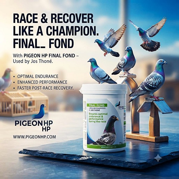 Final Fond Performance Supplement for Racing Pigeons 250g | Endurance & Recovery Formula for Long Distance Racing Pigeons | Energy & Performance Booster for Competitive Racing Birds