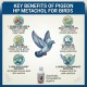 Pigeon HP Metachol 250ml Liver & Kidney Support Supplement for Racing Pigeons | Liquid Vitamin Feed with Choline, Biotin, Vitamin B12, Fructose & Sorbitol | Digestive Health, Feather Growth & Recovery Support for Birds