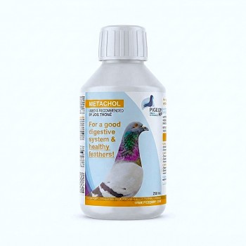 Pigeon HP Metachol 250ml Liver & Kidney Support Supplement for Racing Pigeons | Liquid Vitamin Feed with Choline, Biotin, Vitamin B12, Fructose & Sorbitol | Digestive Health, Feather Growth & Recovery Support for Birds