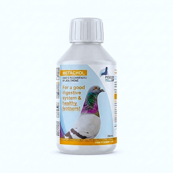 Pigeon HP Metachol 250ml Liver & Kidney Support Supplement for Racing Pigeons | Liquid Vitamin Feed with Choline, Biotin, Vitamin B12, Fructose & Sorbitol | Digestive Health, Feather Growth & Recovery Support for Birds Pigeon HP Metachol 250ml Liver & Kidney Support Supplement for Racing Pigeons | Liquid Vitamin Feed with Choline, Biotin, Vitamin B12, Fructose & Sorbitol | Digestive Health, Feather Growth & Recovery Support for Birds