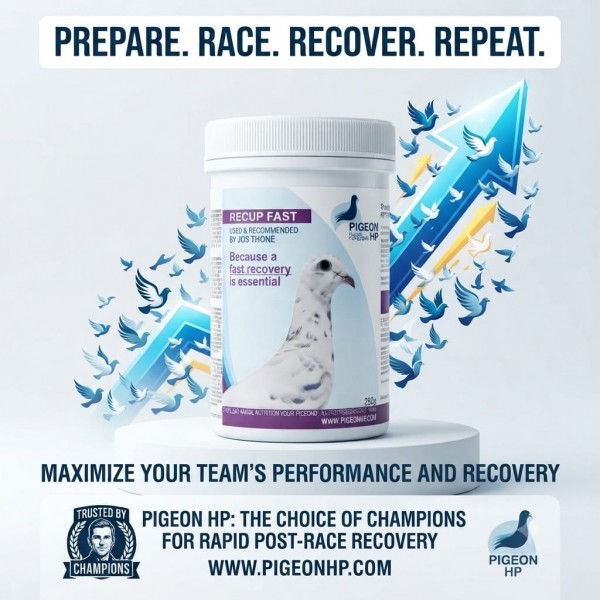 Pigeon Health & Performance RECUP FAST 250g for Racing Pigeons – Fast Recovery Supplement After Race & Training – Energy Support Formula with Dextrose, Maltodextrin & Electrolytes