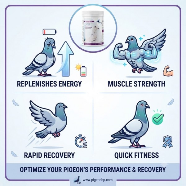 Pigeon Health & Performance RECUP FAST 250g for Racing Pigeons – Fast Recovery Supplement After Race & Training – Energy Support Formula with Dextrose, Maltodextrin & Electrolytes