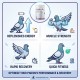 Pigeon Health & Performance RECUP FAST 250g for Racing Pigeons – Fast Recovery Supplement After Race & Training – Energy Support Formula with Dextrose, Maltodextrin & Electrolytes