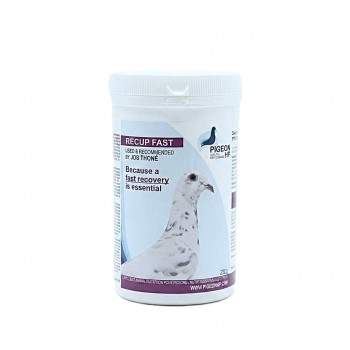 Pigeon Health & Performance RECUP FAST 250g for Racing Pigeons – Fast Recovery Supplement After Race & Training – Energy Support Formula with Dextrose, Maltodextrin & Electrolytes