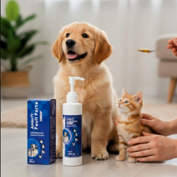 Multivitamins & Iron Rich Tonic for Dogs & Cats – Amin Fevit Forte Pet Syrup 200ml | Daily Nutritional Supplement for Immunity & Growth