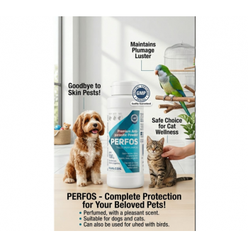 PERFOS Talco Perfumado 100g External Antiparasitic Powder for Dogs, Cats & Ornamental Birds – Flea & Tick Treatment, Cat Flea Killer, Bird Lice & Mite Control – Scented Veterinary Parasite Protection Powder