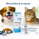 Meloxivet Gotas Oral Drops 10ml – Veterinary NSAID Pain Relief for Dogs & Cats – Meloxicam 0.5 mg/ml Anti-Inflammatory Solution – Osteoarthritis, Post-Operative & Musculoskeletal Pain Control – Flavoured Oral Suspension