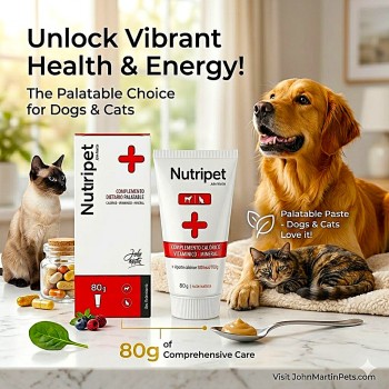 Nutripet John Martin High Calorie Nutritional Gel for Dogs & Cats 80g – Energy Booster Paste with Vitamins, Minerals & Amino Acids | Recovery Support for Anorexia, Growth, Pregnancy & Weak Pets (500 kcal/100g)