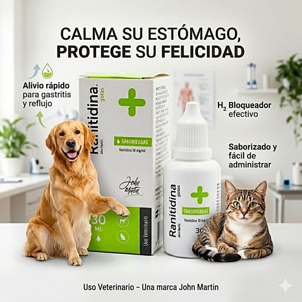 Ranitidina John Martin Flavoured Drops for Dogs and Cats 30ml – 10mg/ml Veterinary Antacid Oral Solution for Gastritis, Acid Reflux, Gastric Ulcers, Duodenal Ulcers, Esophagitis and Gastrointestinal Acid Control – H2 Receptor Blocker for Pets