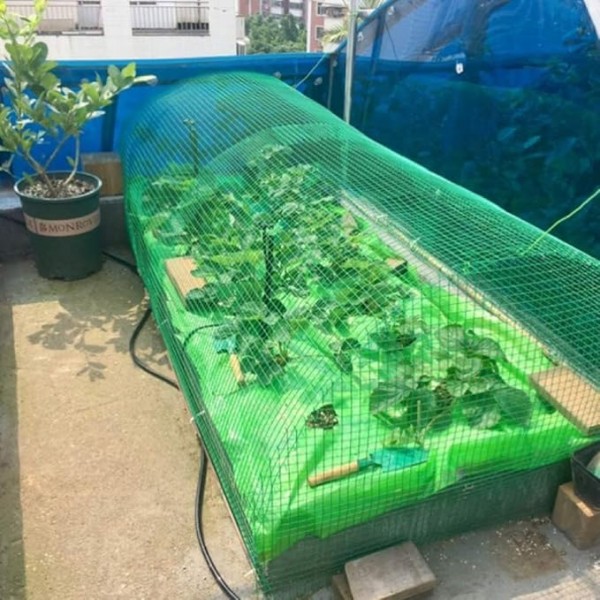Green Plastic Coated Welded Wire Mesh Roll 1 cm x 1 cm | 15 Meter Garden Fencing Net | Pet Enclosure, Bird Cage, Chicken Coop, Rabbit Run, Plant Protection, Farm Fence and DIY Use