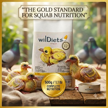 WildDiets Psittacus Pigeon Crop Milk Hand Feeding Formula for Baby Pigeons & Doves, Complete Hand-Rearing Food, 44% Protein, 40% Fat, Vitamins & Minerals, 500g
