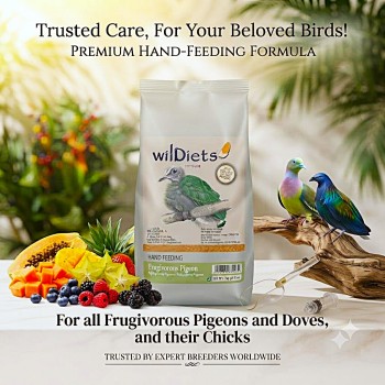 wilDiets Frugivorous Pigeon Hand Feeding Formula 1kg – Complete Hand-Rearing Food for Baby Frugivorous Pigeons and Fruit-Eating Doves – With Cereals, Legumes, Dried Apple, Papaya, Egg, Linseed, Vitamins & Minerals – Made in Spain