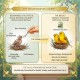 Serinus Canaries Hand Feeding Formula 350g, Baby Canary Hand Rearing Food, Daily Feeding Powder for Canary Chicks from Day 4 to Weaning, Non-GMO Formula, Made in Spain Serinus Canaries Hand Feeding Formula 350g, Baby Canary Hand Rearing Food, Daily Feeding Powder for Canary Chicks from Day 4 to Weaning, Non-GMO Formula, Made in Spain