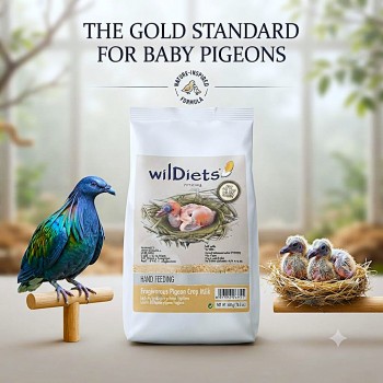 WildDiets Psittacus Frugivorous Pigeon Crop Milk 500g, Complete Hand Feeding Food for Baby Pigeons, Nutritionally Balanced Formula with Protein, Fat, Vitamins & Minerals, Hand Rearing Food for Young Pigeons