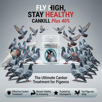 CANKILL Plus 40% Canker Treatment Formula for Pigeons 100g | Effective Trichomonas Infection Medicine with Dimetridazole & Vitamin B1 HCL for Treatment and Prevention of Canker Disease in Pigeons