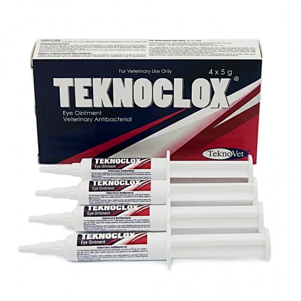 TEKNOCLOX Veterinary Eye Ointment 4 x 5g Syringes – Cloxacillin Benzathine Antibacterial Treatment for Pink Eye, Infectious Keratoconjunctivitis & Ocular Infections in Cattle, Sheep, Horses, Dogs & Cats