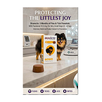Bravecto 112.5mg Chewable Tablets for Very Small Dogs (2–4.5 kg) – 12-Week Flea & Tick Protection, Puppy Parasite Treatment, Vet Prescription Required