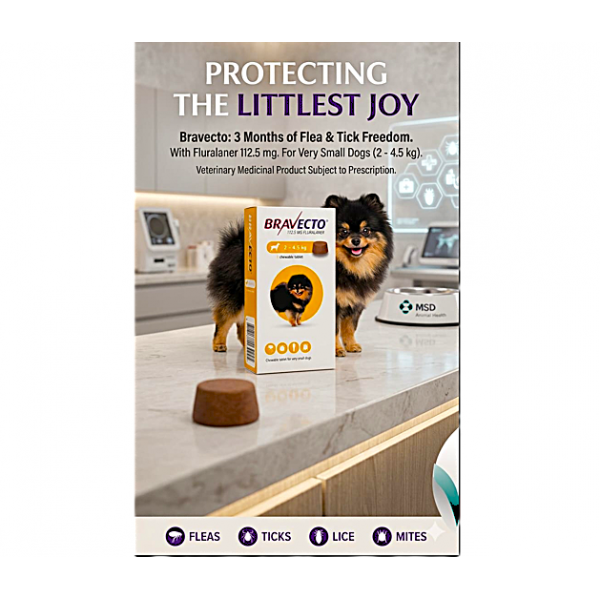 Bravecto 112.5mg Chewable Tablets for Very Small Dogs (2–4.5 kg) – 12-Week Flea & Tick Protection, Puppy Parasite Treatment, Vet Prescription Required