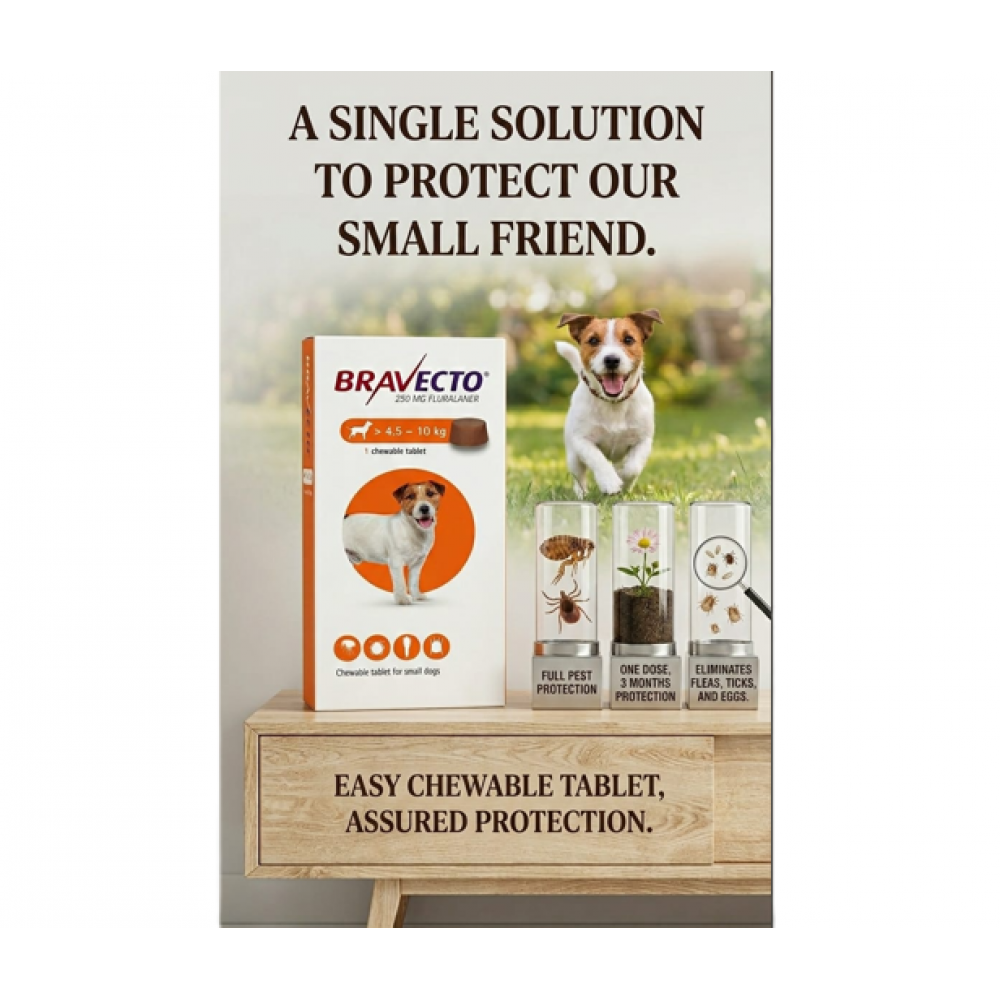 Bravecto 250mg Chewable Tablet for Small Dogs 4.5–10kg – 12 Week Flea ...