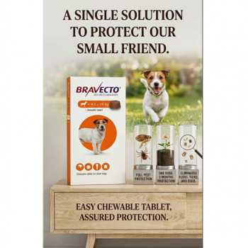 Bravecto 250mg Chewable Tablet for Small Dogs 4.5–10kg – 12 Week Flea & Tick Treatment & Prevention – Fluralaner Oral Parasite Control – Long Lasting Veterinary Prescription Flea Killer for Dogs Over 4.5 kg Up to 10 kg