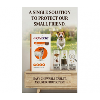 Bravecto 250mg Chewable Tablet for Small Dogs 4.5–10kg – 12 Week Flea & Tick Treatment & Prevention – Fluralaner Oral Parasite Control – Long Lasting Veterinary Prescription Flea Killer for Dogs Over 4.5 kg Up to 10 kg