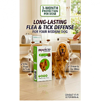 Bravecto Chewable Tablets for Medium Dogs 10–20kg 500mg Fluralaner | Flea and Tick Treatment for Dogs | 3 Month Protection | Fast Acting Oral Parasite Control