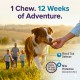 Bravecto Chewable Tablet for Large Dogs 20–40kg | 1000mg Fluralaner Flea & Tick Treatment | 12 Week Protection | Fast Acting Dog Deworming & Anti Tick Medicine UAE