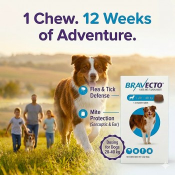 Bravecto Chewable Tablet for Large Dogs 20–40kg | 1000mg Fluralaner Flea & Tick Treatment | 12 Week Protection | Fast Acting Dog Deworming & Anti Tick Medicine UAE Bravecto Chewable Tablet for Large Dogs 20–40kg | 1000mg Fluralaner Flea & Tick Treatment | 12 Week Protection | Fast Acting Dog Deworming & Anti Tick Medicine UAE