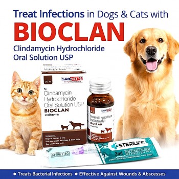 BIOCLAN Clindamycin Hydrochloride Oral Solution USP 20ml for Dogs & Cats – Veterinary Antibiotic by SAVAVET for Skin, Dental, Wound & Bone Infections | 25mg/ml Oral Antibacterial Suspension with Syringe