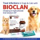 BIOCLAN Clindamycin Hydrochloride Oral Solution USP 20ml for Dogs & Cats – Veterinary Antibiotic by SAVAVET for Skin, Dental, Wound & Bone Infections | 25mg/ml Oral Antibacterial Suspension with Syringe
