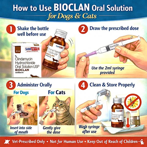 BIOCLAN Clindamycin Hydrochloride Oral Solution USP 20ml for Dogs & Cats – Veterinary Antibiotic by SAVAVET for Skin, Dental, Wound & Bone Infections | 25mg/ml Oral Antibacterial Suspension with Syringe