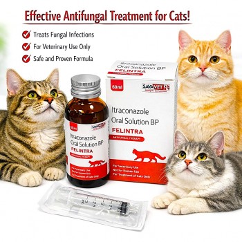 FELINTRA Itraconazole Oral Solution 10mg/ml for Cats 60ml – Antifungal Treatment for Ringworm (Microsporum canis) | Veterinary Medicine with Dosing Syringe for Feline Skin Infections