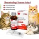 FELINTRA Itraconazole Oral Solution 10mg/ml for Cats 60ml – Antifungal Treatment for Ringworm (Microsporum canis) | Veterinary Medicine with Dosing Syringe for Feline Skin Infections