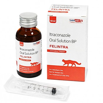 FELINTRA Itraconazole Oral Solution 10mg/ml for Cats 60ml – Antifungal Treatment for Ringworm (Microsporum canis) | Veterinary Medicine with Dosing Syringe for Feline Skin Infections