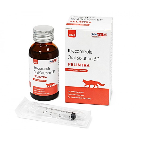 FELINTRA Itraconazole Oral Solution 10mg/ml for Cats 60ml – Antifungal Treatment for Ringworm (Microsporum canis) | Veterinary Medicine with Dosing Syringe for Feline Skin Infections
