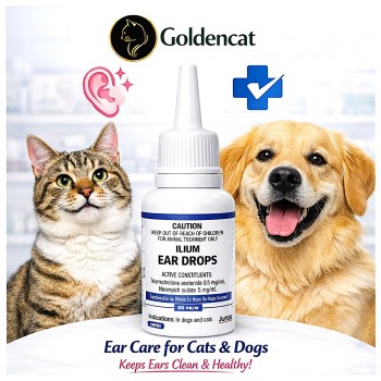 Ilium Ear Drops for Cats & Dogs 20mL – Veterinary Ear Infection Treatment | Anti-Mite, Anti-Bacterial & Anti-Fungal Ear Drops | Lignocaine, Dichlorophen, Hydrocortisone Formula | Soothing Pain Relief Ear Care
