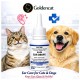 Ilium Ear Drops for Cats & Dogs 20mL – Veterinary Ear Infection Treatment | Anti-Mite, Anti-Bacterial & Anti-Fungal Ear Drops | Lignocaine, Dichlorophen, Hydrocortisone Formula | Soothing Pain Relief Ear Care