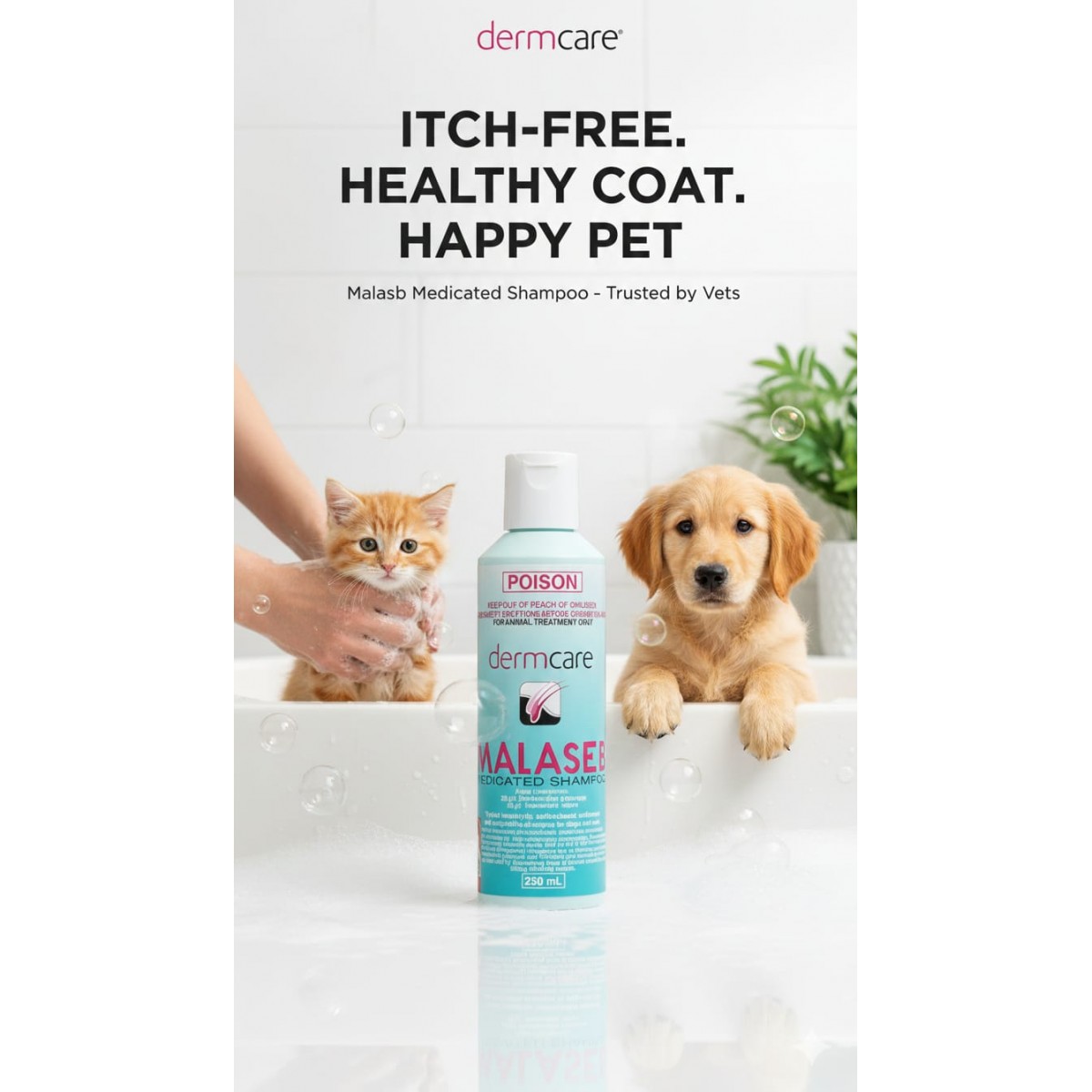 Dermcare Malaseb Medicated Shampoo for Dogs & Cats 250mL ...