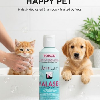 Dermcare Malaseb Medicated Shampoo for Dogs & Cats 250mL – Antibacterial & Antifungal Veterinary Shampoo with Chlorhexidine & Miconazole for Dermatitis, Seborrhoeic Skin Conditions, Yeast & Ringworm Treatment
