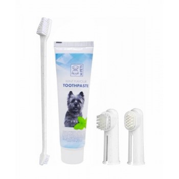 M-PETS Dental Mint Flavor Toothpaste Kit(100g)