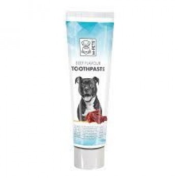 M-PETS Beef Flavor Toothpaste Kit for dog (100g)